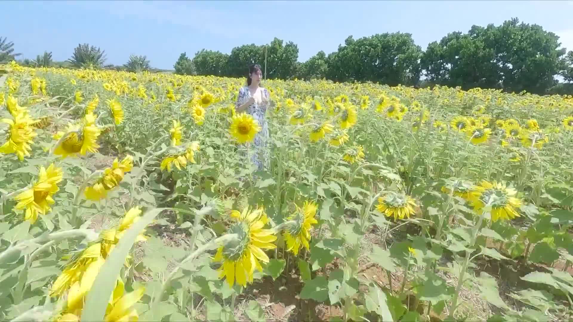 Nene 與你共度的夏天・三澄寧寧 - AV大平台 - 中文字幕，成人影片，AV，國產，線上看